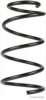 HERTH+BUSS JAKOPARTS J4402007 Coil Spring